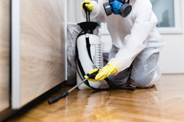 Best Residential Pest Control  in Hugo, OK
