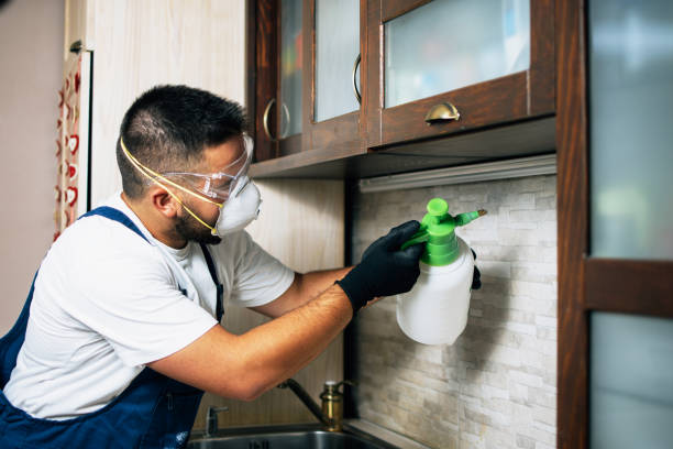 Best Pest Removal Services  in Hugo, OK