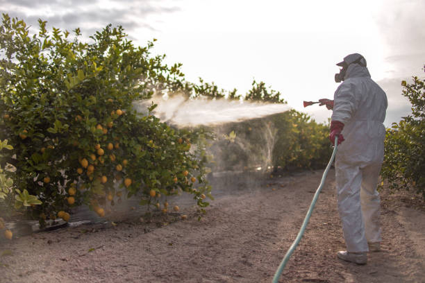 Best Cockroach Control Services  in Hugo, OK