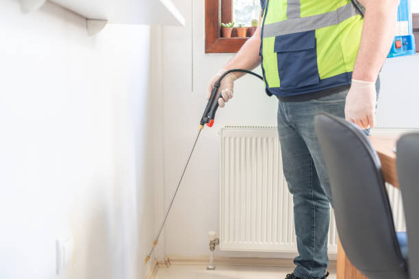Best Termite Control Services  in Hugo, OK