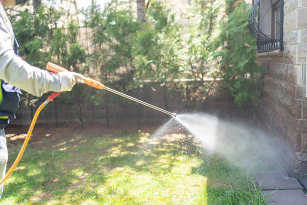 Best Flea Control Services  in Hugo, OK