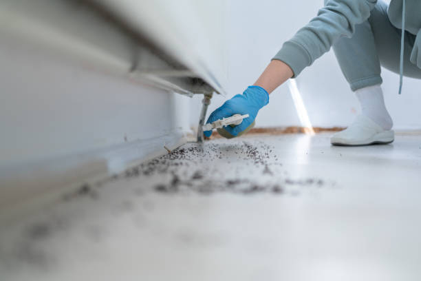 Best Affordable Pest Control Services  in Hugo, OK